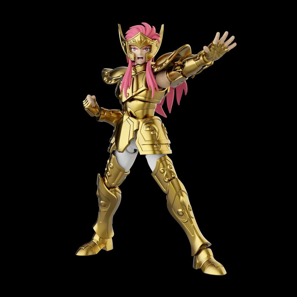 Saint seiya aquarius camus champion class 08 model kit PREORDER - immagine 2