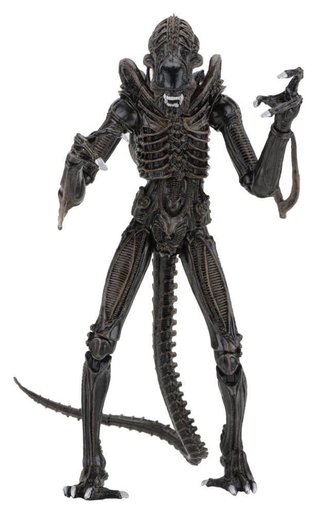 Aliens Ultimate Action Figure Warrior (1986) Brown 23 cm PREORDER