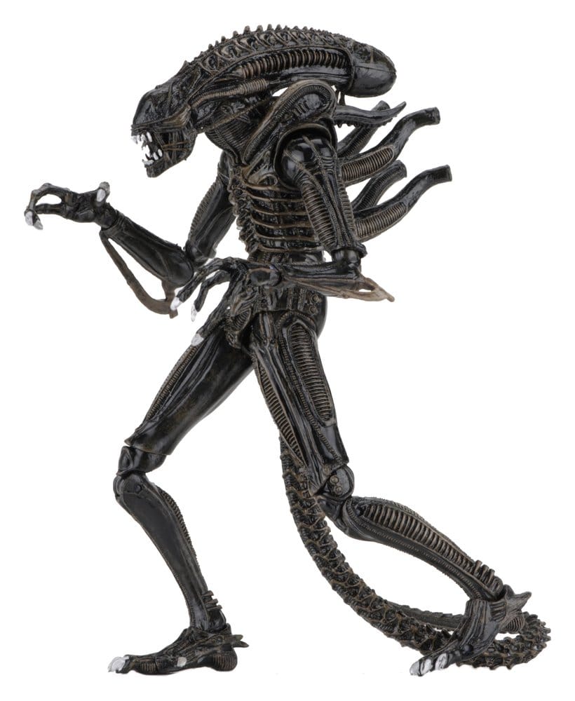 Aliens Ultimate Action Figure Warrior (1986) Brown 23 cm PREORDER - immagine 2