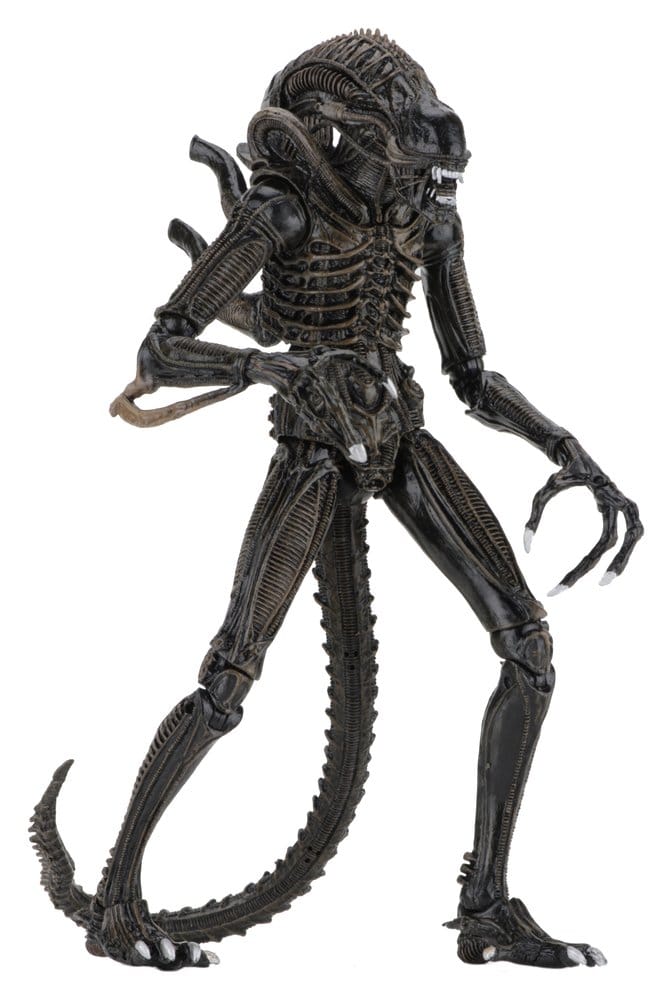Aliens Ultimate Action Figure Warrior (1986) Brown 23 cm PREORDER - immagine 3